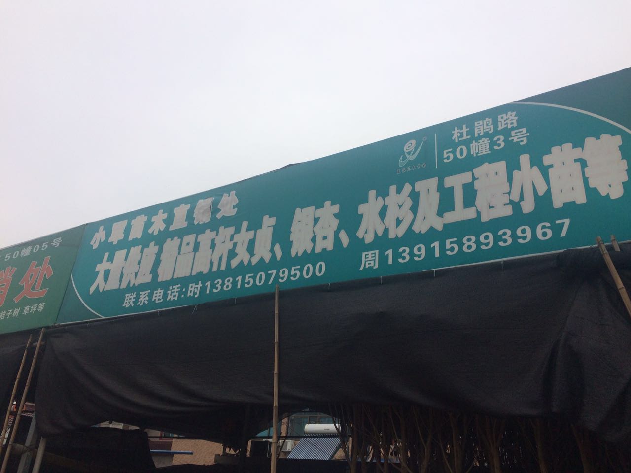 小翠苗木直销处
