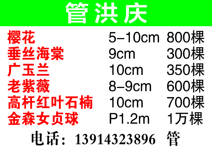 管洪庆图片