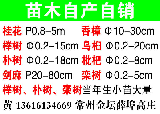 黄罗斌