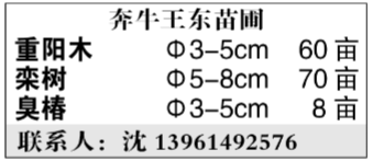 奔牛王东苗圃图片