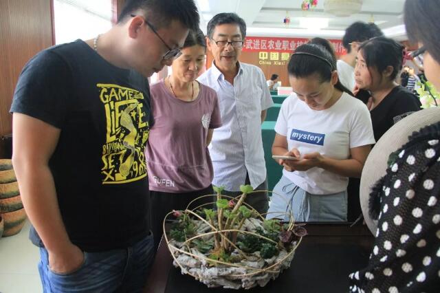 夏溪花木市场组合盆栽提升班顺利结业！花卉绿植批零中心的商户及园艺爱好者花卉绿植批零中心的商户及园艺爱好者齐聚尚花坊学习！