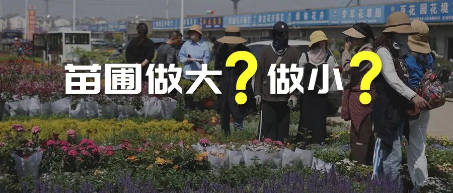 苗圃是做大了好？还是小了好？听听他怎么说