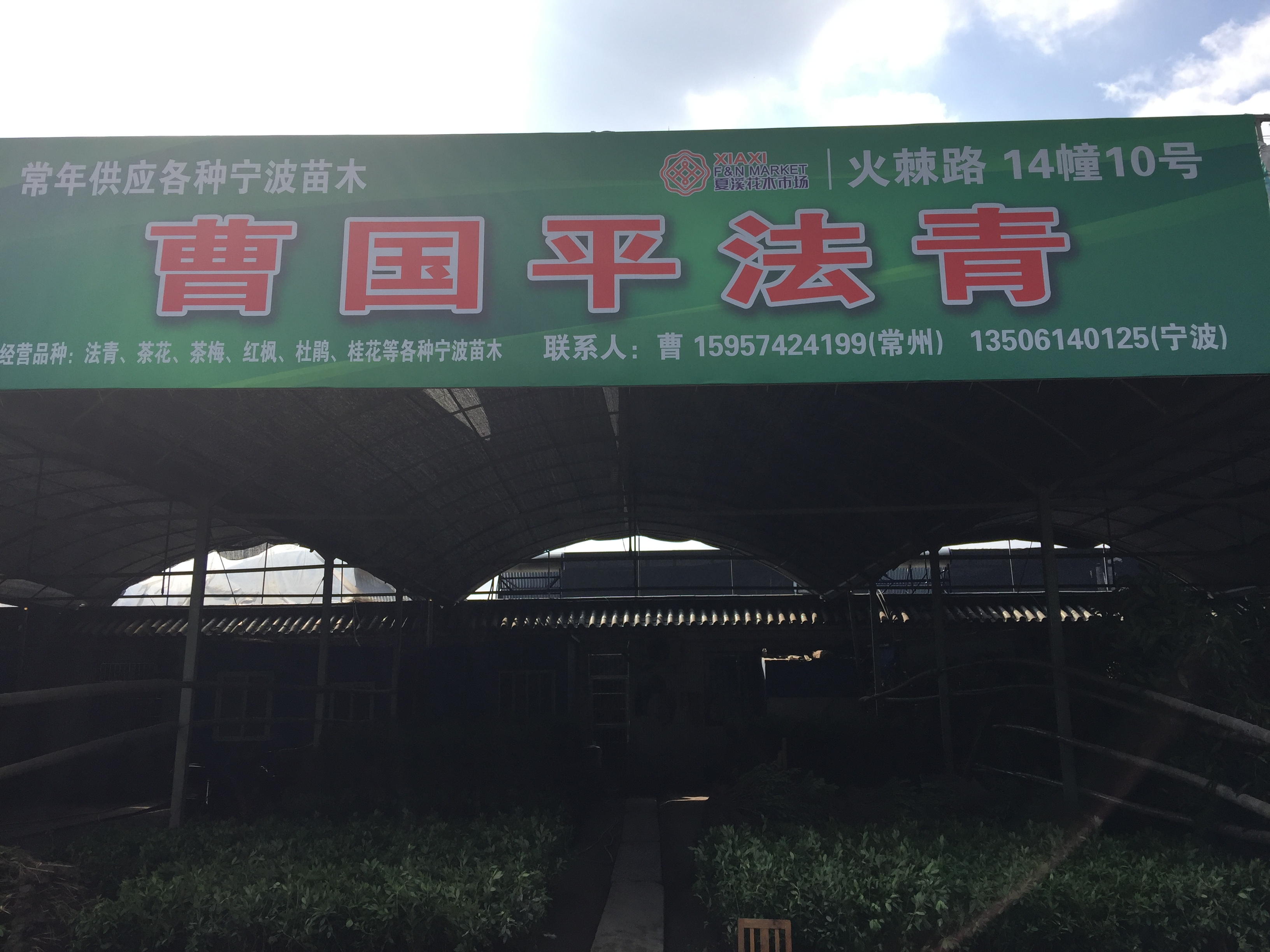曹国平法青