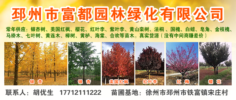 邳州市富都园林绿化有限公司