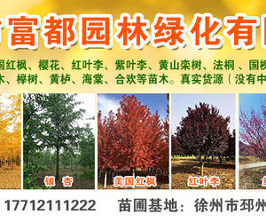 邳州市富都园林绿化有限公司