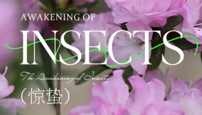 【惊蛰】春雷一响，万物生长