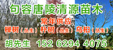 句容市天王镇天语苗木种植园图片