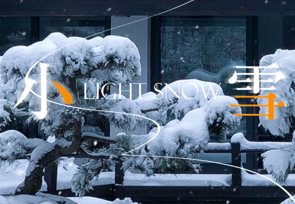 【小雪】微雪如诗，冬韵悠扬