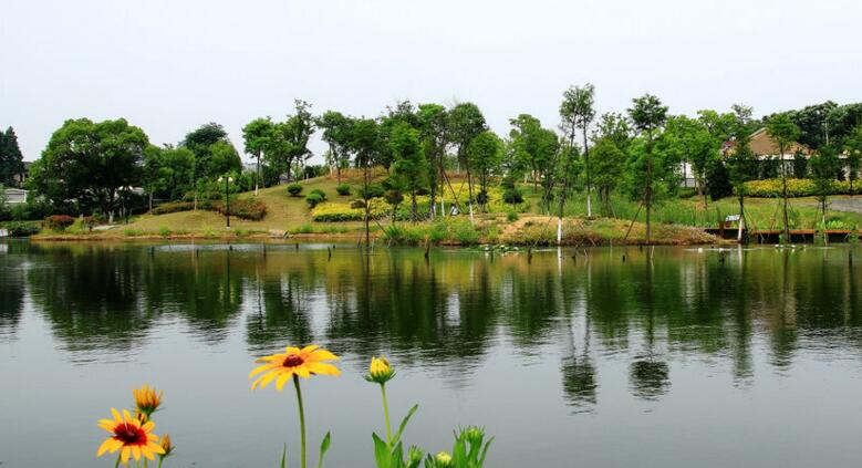  南京溧水高标准建10个公园 幸庄湿地初步建成