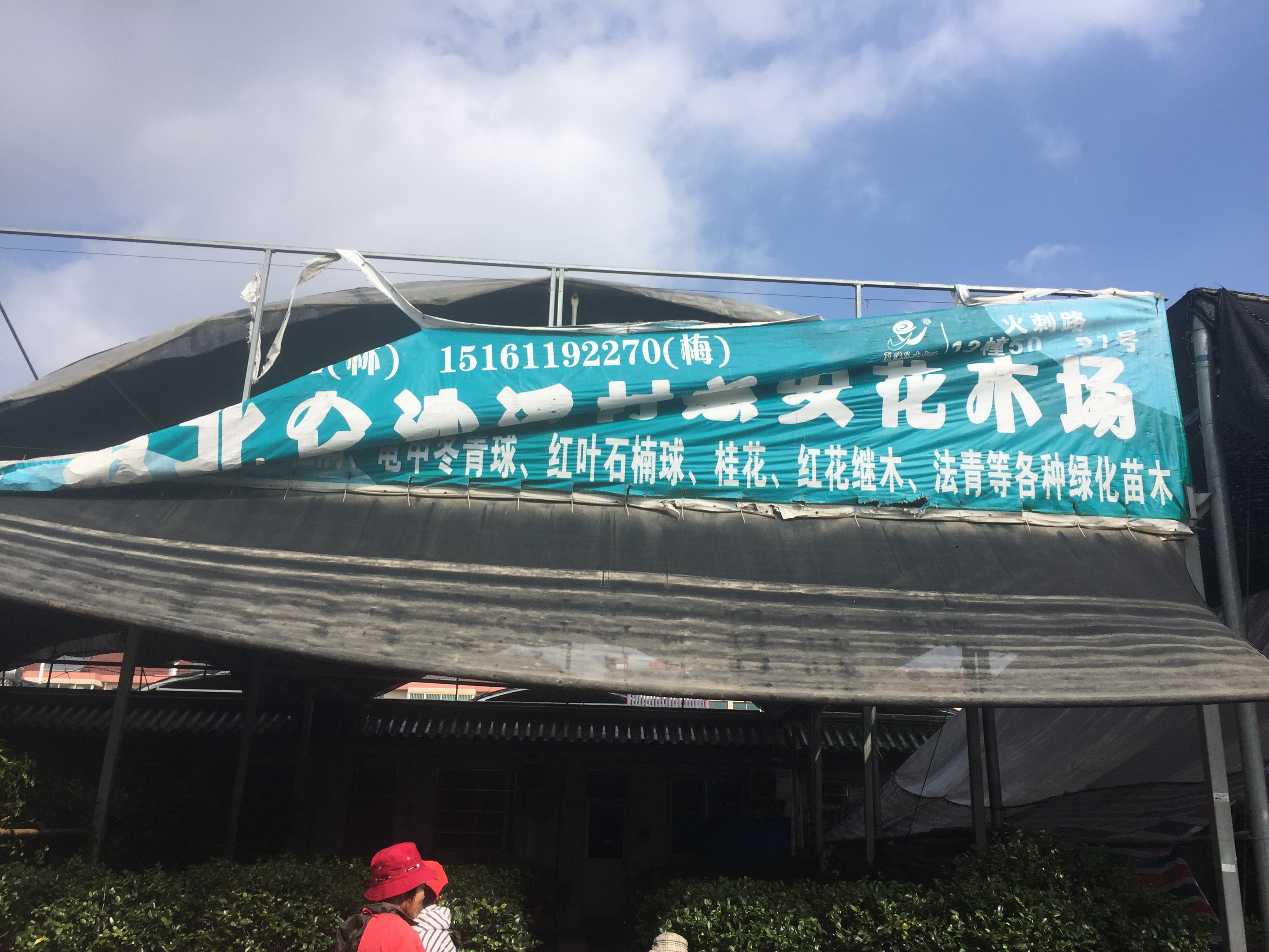 宁波北仑花木场