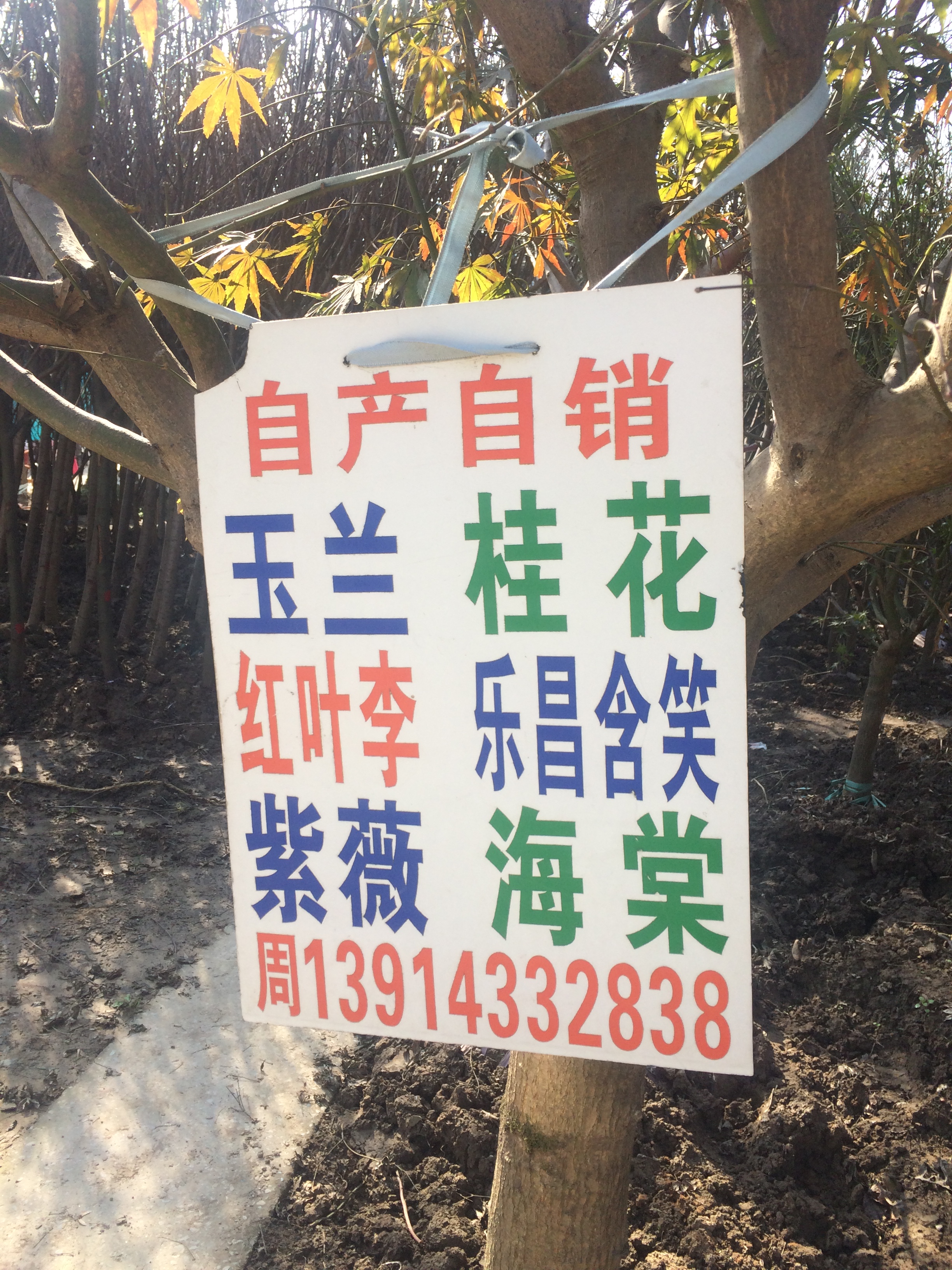 自产自销图片