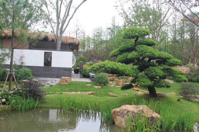 八月园林植物养护须知