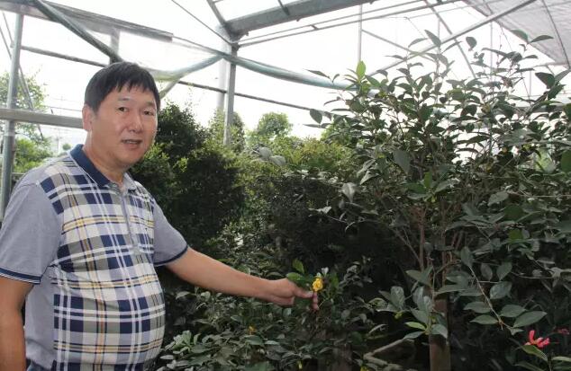 徐春华：不只把花卉绿植当产品卖