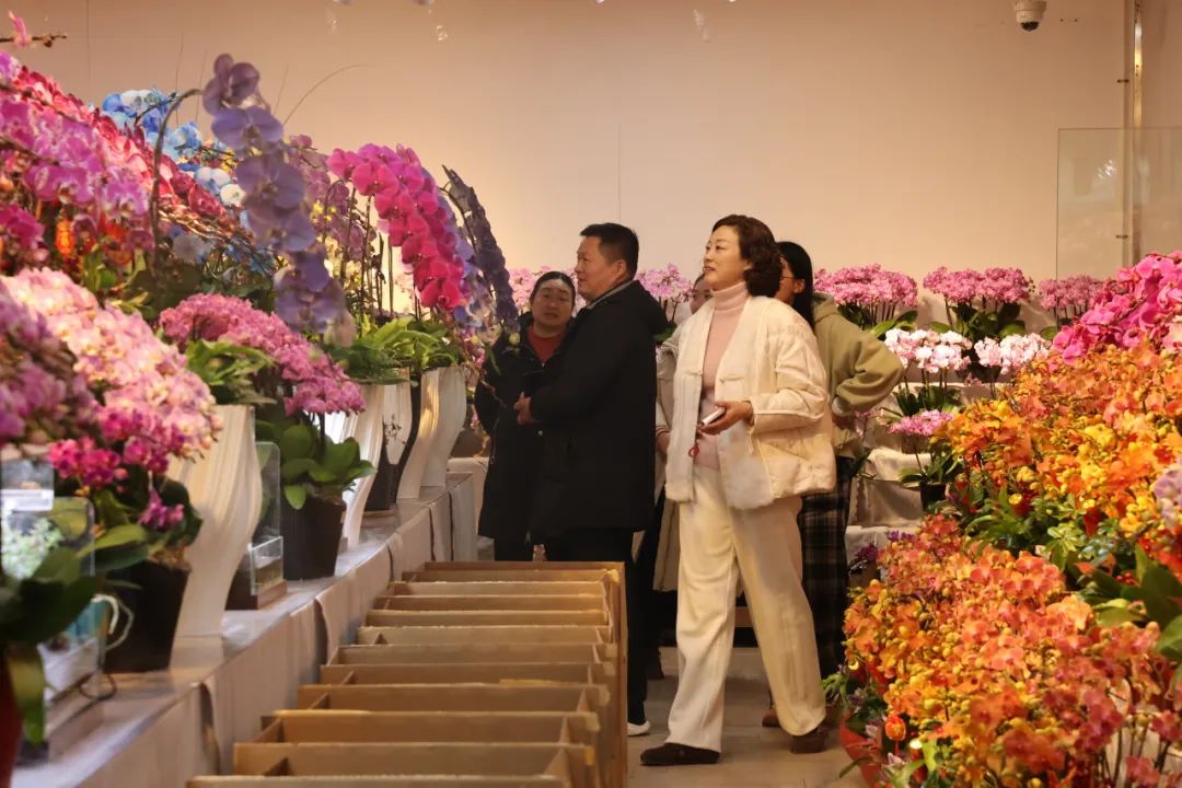 【年宵花】周末才是生活的开始，夏溪这座浪漫补给站上线啦