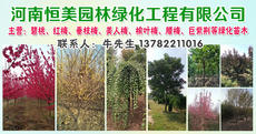 河南恒美园林绿化工程有限公司图片