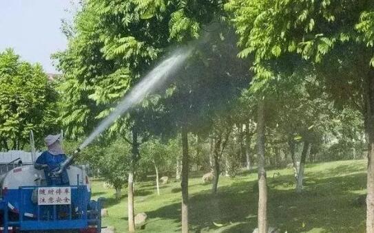 园林植物生长过程中离不了施肥浇水等管理活动，但浇水学三年，苗木浇水的学问大着呢！
