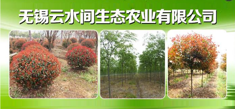 无锡市宜兴云水间生态农业有限公司