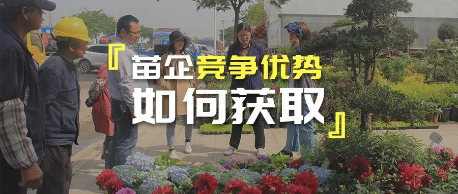 苗企竞争优势如何获取？有3个办法