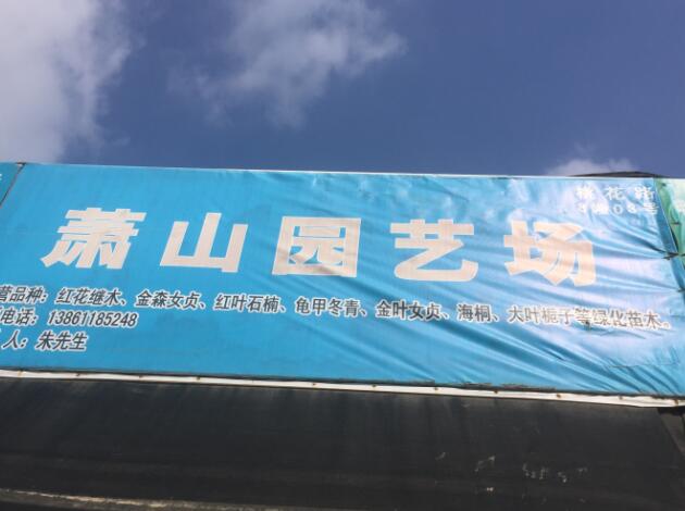 萧山园艺场图片