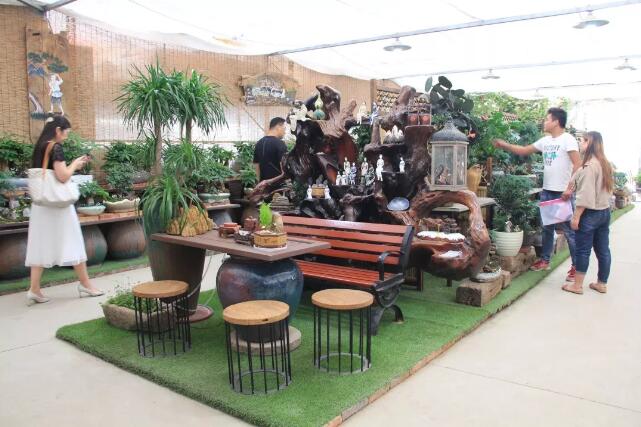 夏溪花木市场园艺资材发展面面观，盆器市场产品越发多元化，与家居融合的趋势也逐渐显现