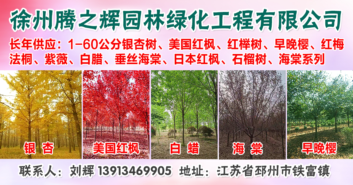 徐州腾之辉园林绿化工程有限公司图片