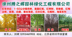 徐州腾之辉园林绿化工程有限公司图片