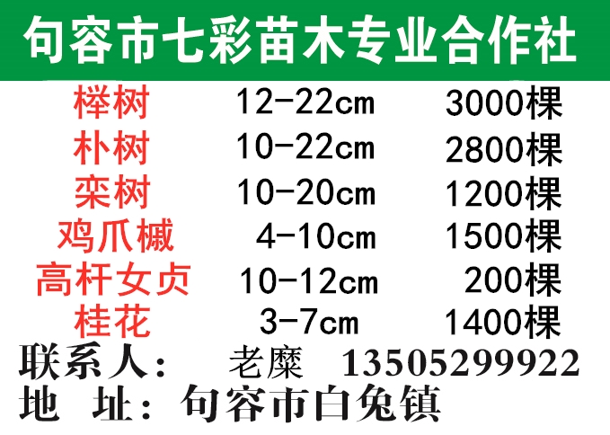 句容市七彩苗木专业合作社