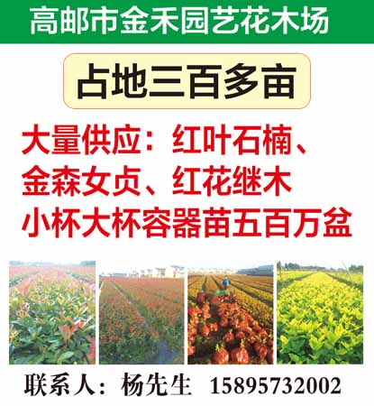 高邮市金禾园艺花木场图片