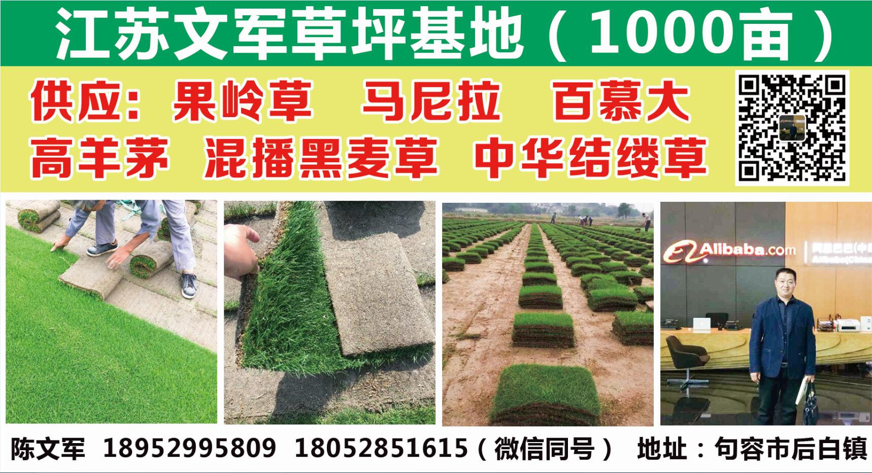 句容市后白镇文军草坪花木种植园