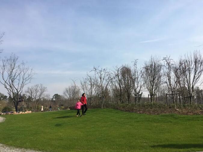 夏季养护管理是冷季型草坪全年管理的最重要时期，冷季型草坪如何安然度过？