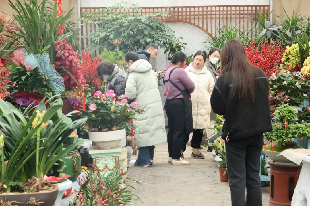 【年宵花】愿意花时间买花看花的人，一定很浪漫
