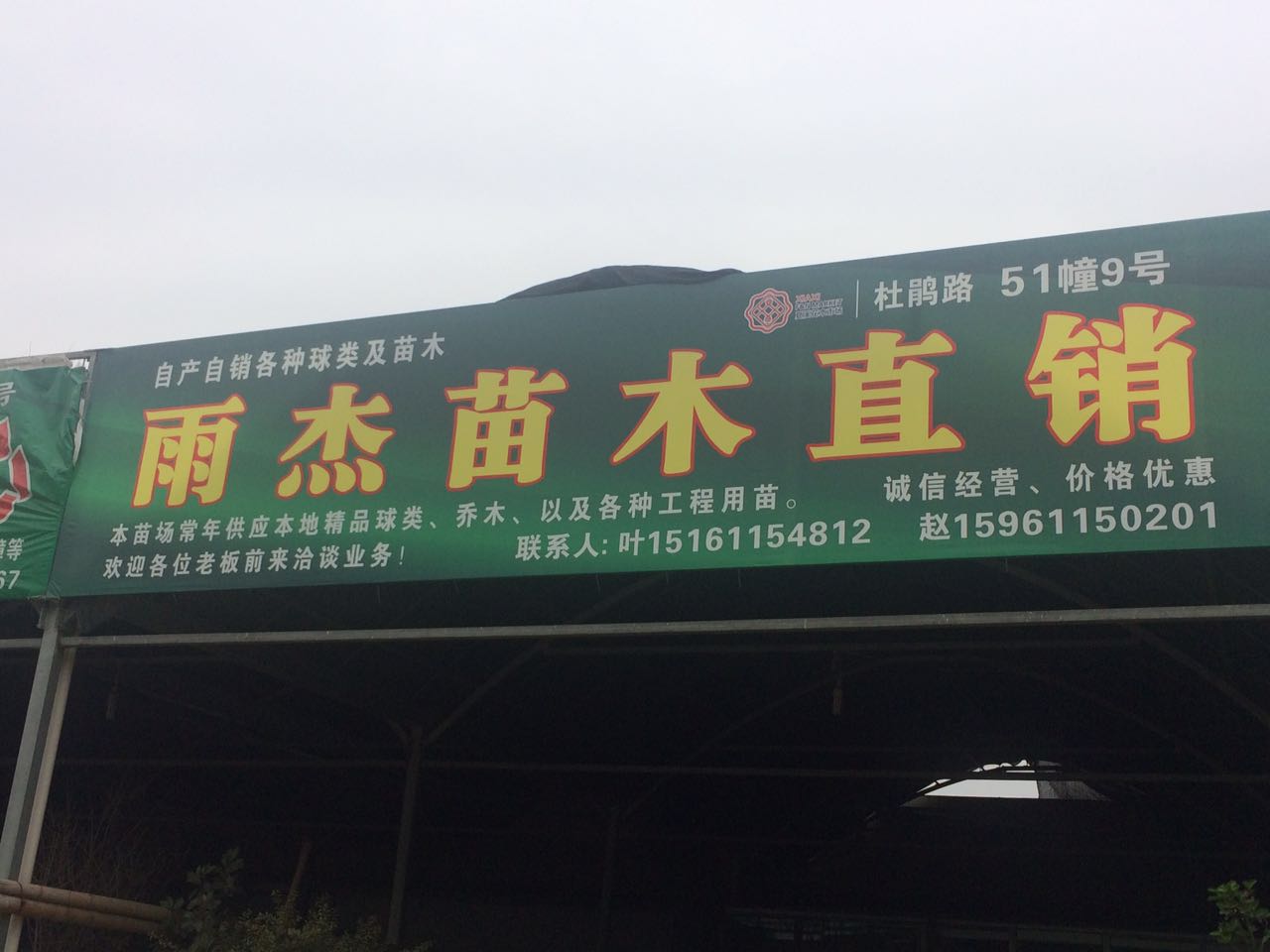 雨杰苗木直销图片