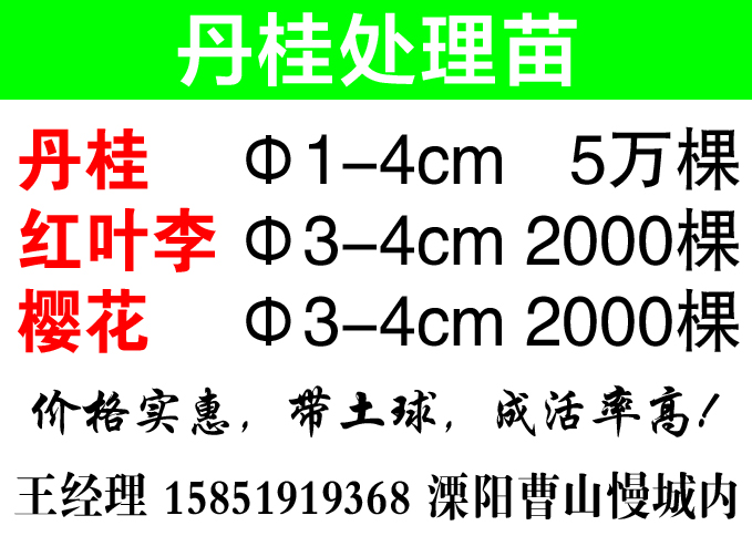 常州景创花木专业合作社