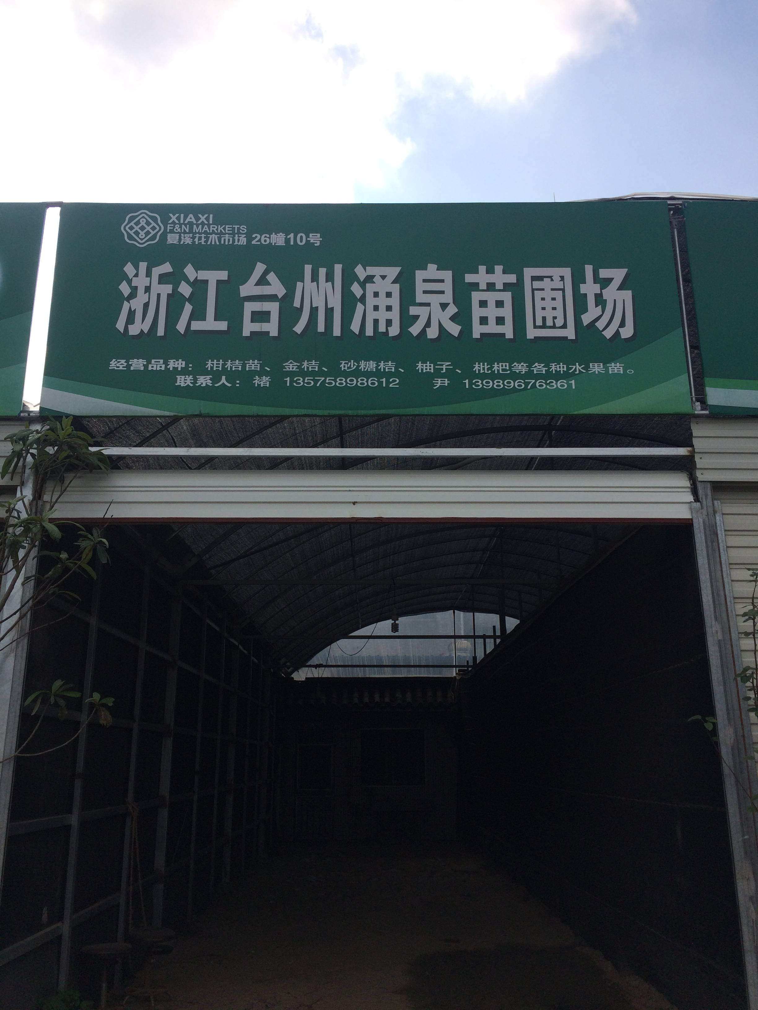 浙江台州涌泉苗圃场图片