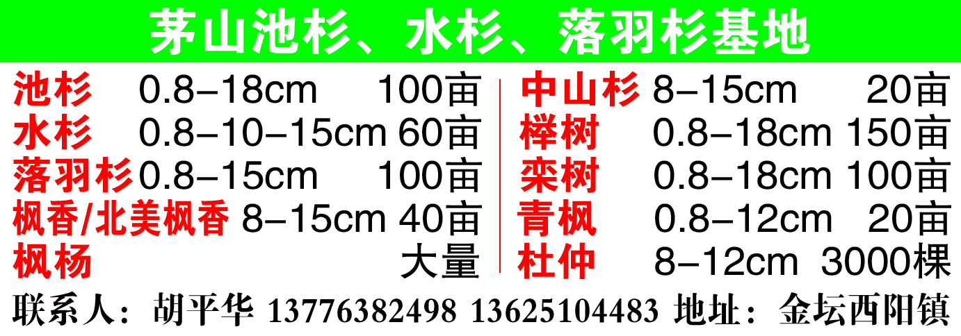 常州茅山亲水足球世界杯2022赛程时间表
基地