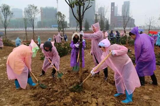 为什么要支持裸根移植？ 什么情况下可以裸根移植？裸根移植技术与要求