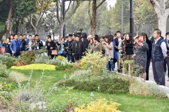 ​随着花境应用越来越广泛，宿根花卉生产、花境设计施工、养护管理等成为行业追捧的新风向，