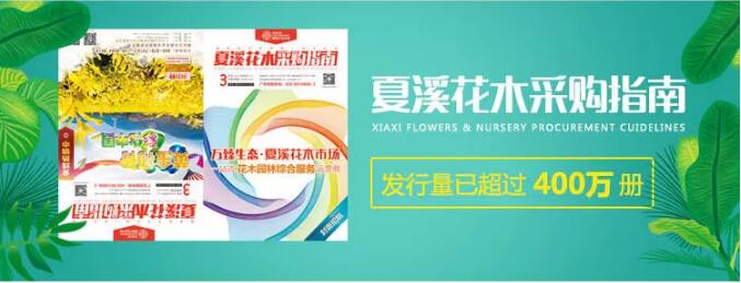 【在线订阅】《夏溪花木市场采购指南》可以在线订阅啦！