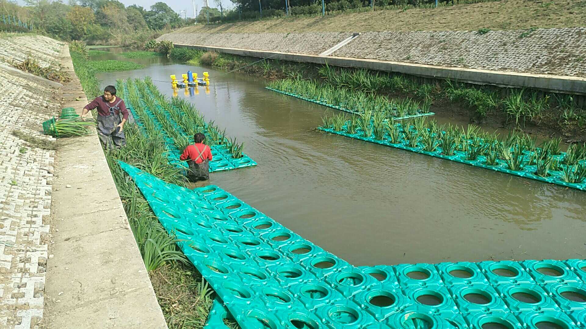 浮床图片