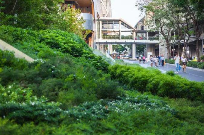 景观设计师的十大雷区，你中招了吗？植物配置中最常见的10个错误