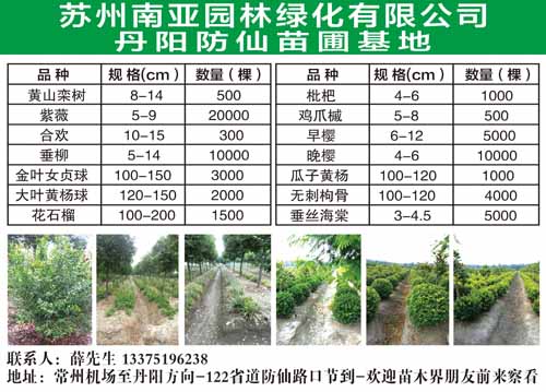 苏州南亚园林绿化有限公司图片