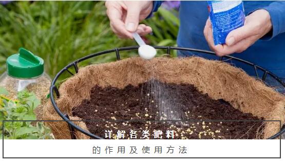 肥料的合理运用可以有效的促进植物的生长，详解各类肥料的作用及使用方法！收藏版！