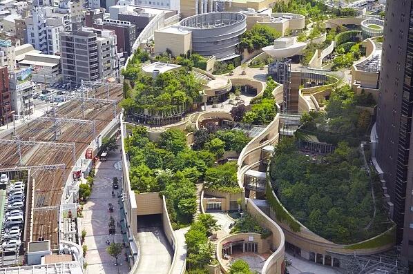 屋顶园林是城市绿化向立体空间发展，了解屋顶园林景观的设计要点