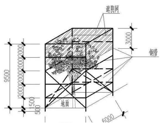 夏季高温，道路上的行道树、绿化带以及景区内的花草树木如何正确养护？