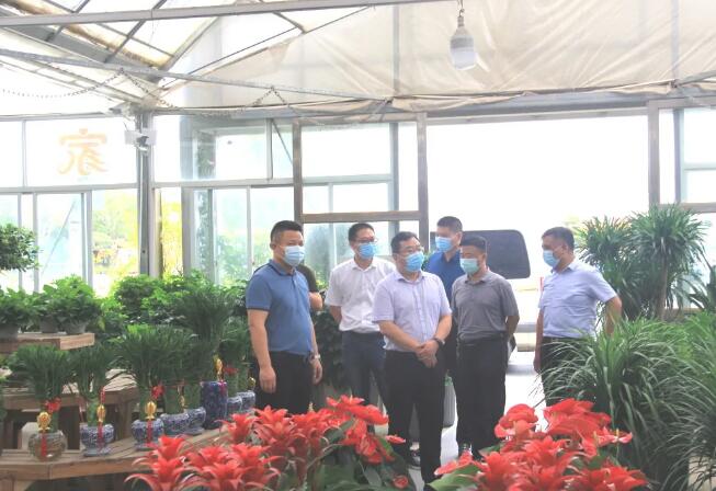 市农业农村局副局长裴谨带队督查夏溪花木市场防控工作