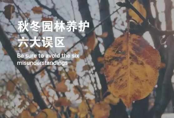 ​冬防是为了让园林植物安全越冬，园林植物冬防，这六大误区千万要当心！