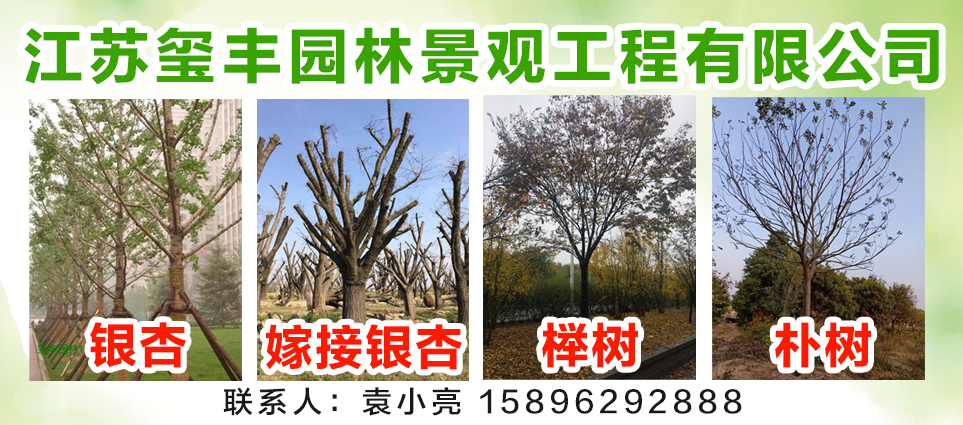 江苏玺丰园林景观工程有限公司