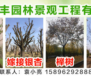 江苏玺丰园林景观工程有限公司