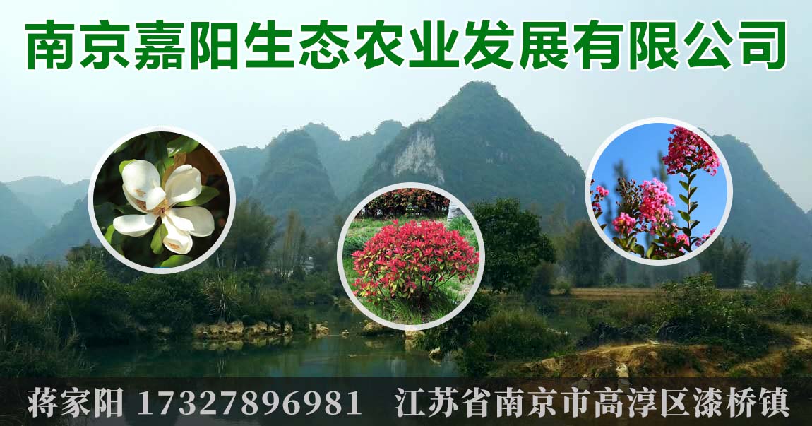 南京嘉阳生态农业发展有限公司图片