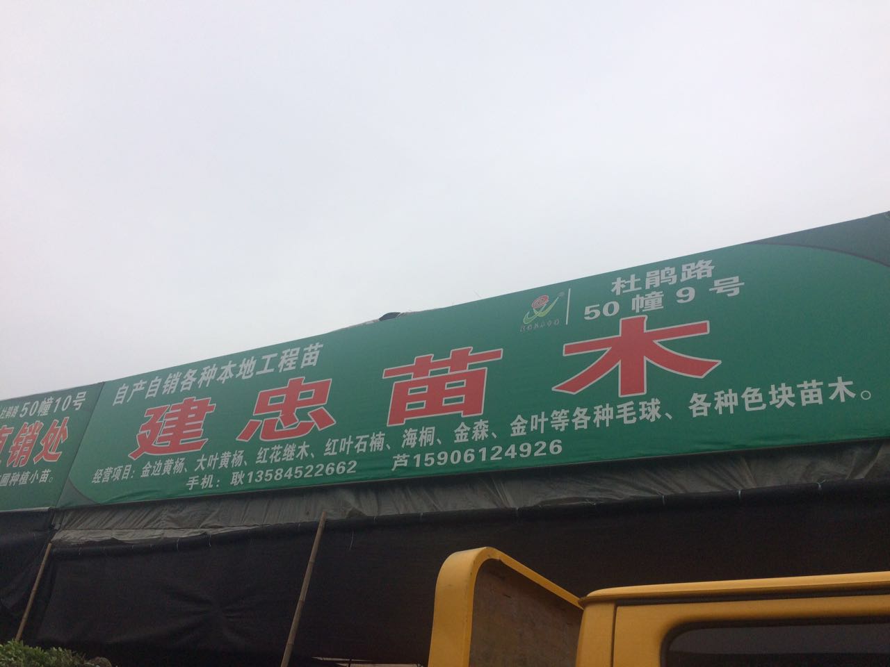 建忠苗木图片